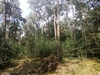 eersel20240827