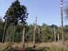 keersop20240831
