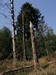 keersop20240831