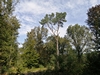 keersop20240902