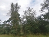 keersop20240909