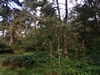 keersop20240913