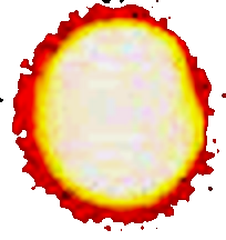 maan