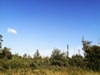 kersop20240923