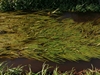 kersop20240923