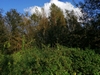 kersop20240923