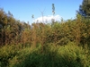 kersop20240923