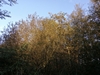 kersop20240923