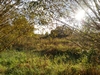 kersop20240923