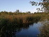 kersop20240923
