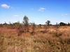 pelt20241005