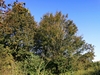 keersop20241006