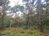 keersop20241008