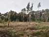 keersop20241008