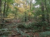 keersio20241009