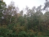 keersio20241009