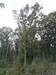 keersio20241009