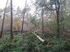 keersio20241009