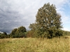 keersop20241011