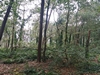 keersop20241006