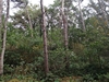 keersop20241013