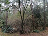 keersop20241013