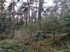 keersop20241013