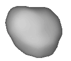 19 fortuna