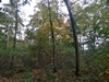 keersop20241017