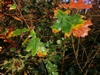 keersop20241023