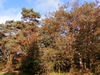 keersop20241023