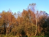 keersop20241025
