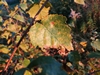 keersop20241025