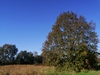 keersop20241026