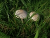 keersop20241027