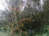 keersop20241028