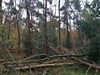 keersop20241030