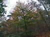 keersop20241101