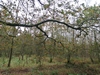keersop20241102