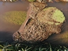 keersop20241104