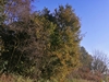 keersop20241105
