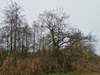keersop20241107