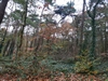 keersop20241108