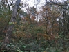keersop20241108