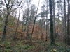 keersop20241108