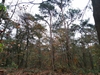 keersop20241109
