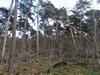 keersop20241110