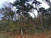 keersop20241110