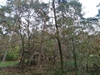 keersop20241110