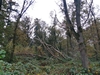 keersop20241110